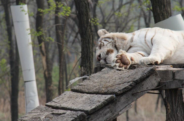 北京旅游攻略5天自驾游推荐,来北京自驾游攻略及费用