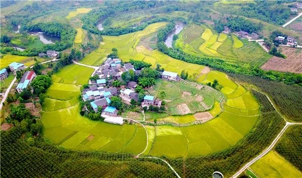 广安乡村振兴示范村有哪些,广安示范村名单