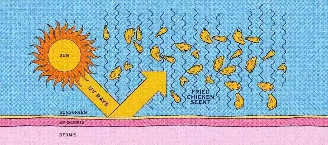 这些化妆品的坑你踩过吗,平价又好用又便宜的化妆品测评