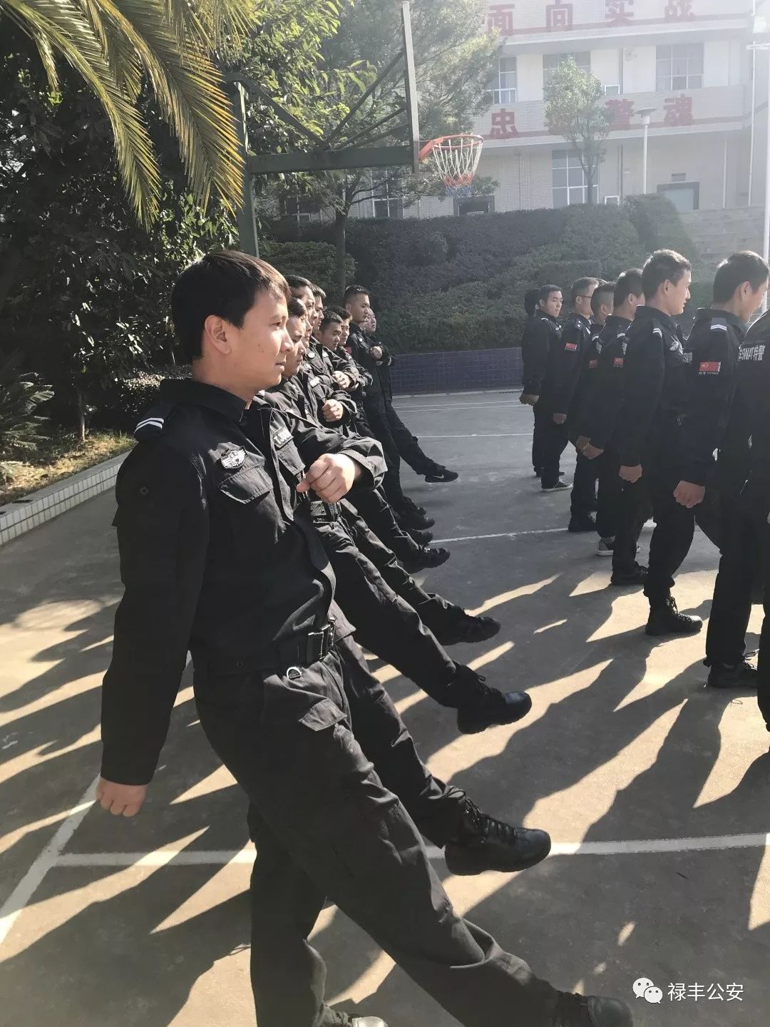 练为战砺尖兵现场直击,练为战原唱