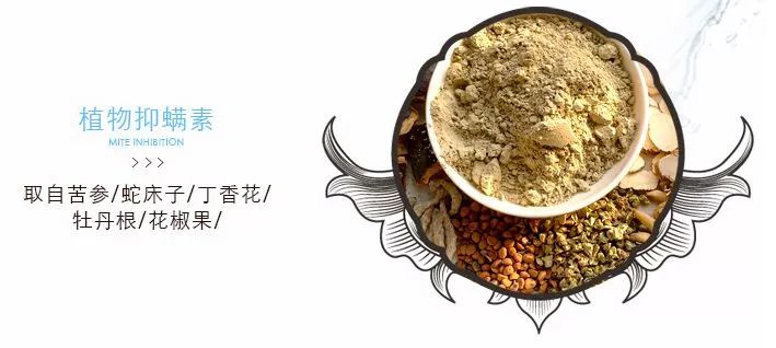 人脸上螨虫的数量,人脸上有多少螨虫