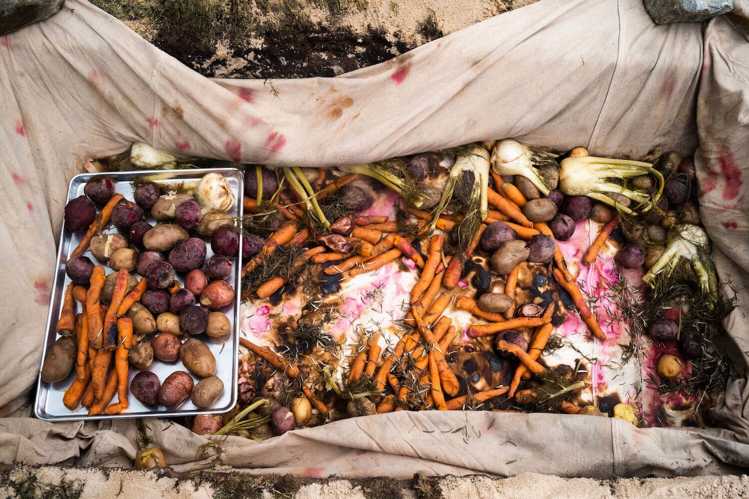 格温妮丝帕特洛感情史,格温妮斯帕特洛年轻照