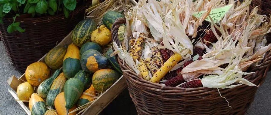 今日小雪愿一切安好,今日小雪愿大家一切安好