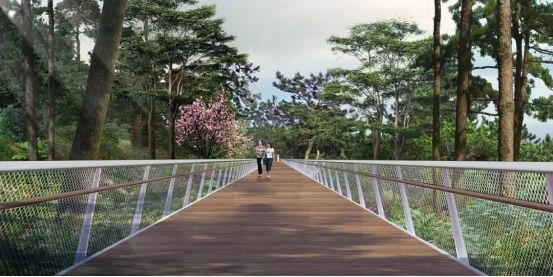 厦门泉州福州综合对比,厦门城市气息