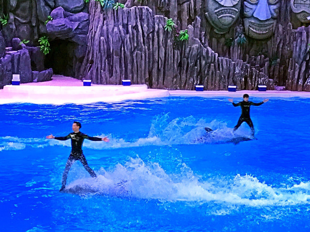 长隆珠海海洋王国网红打卡,珠海长隆海洋王国哪里买门票便宜