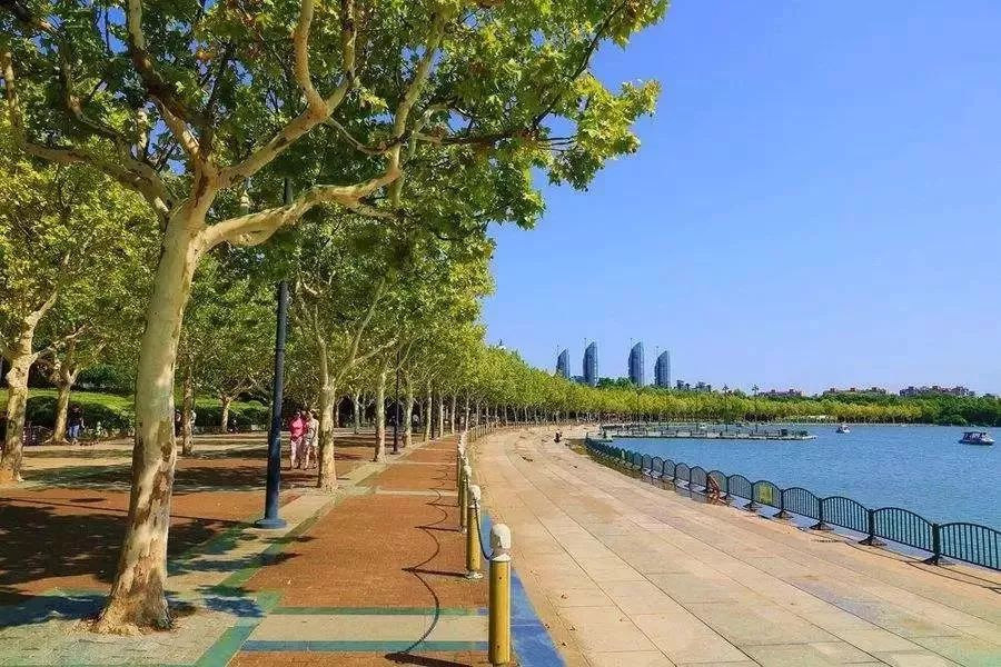 你出生的那年都发生了什么大事,你出生哪年发生了什么事