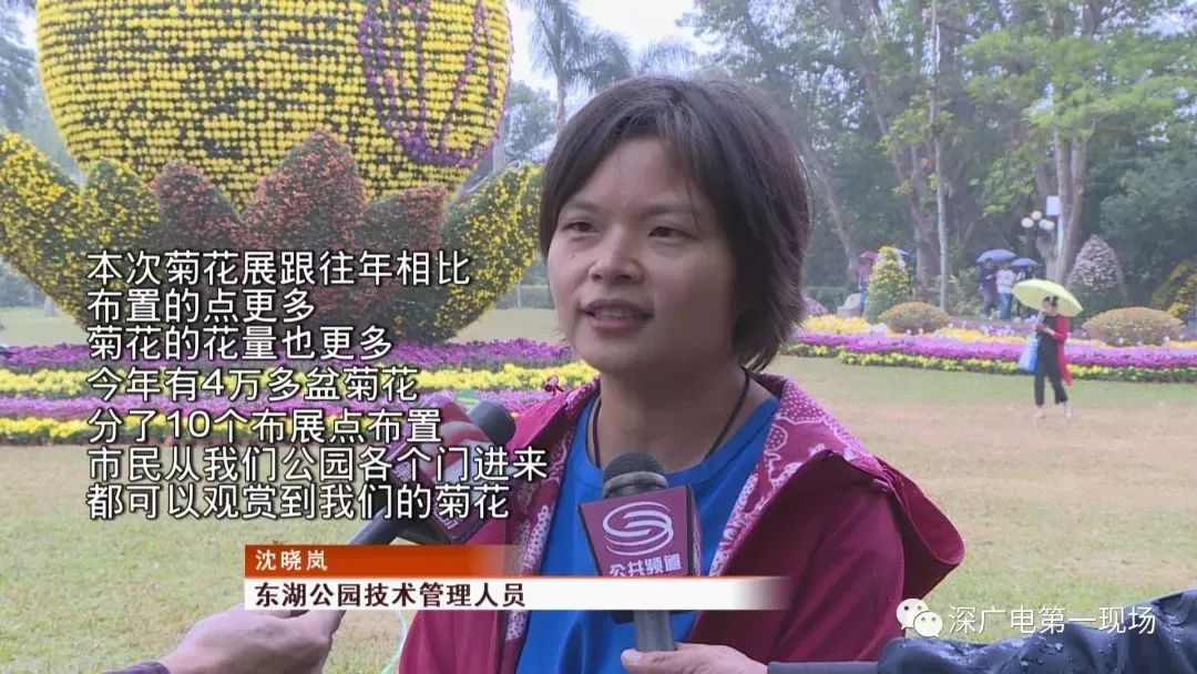 深圳东湖公园菊花展结束,深圳东湖公园菊花展延期