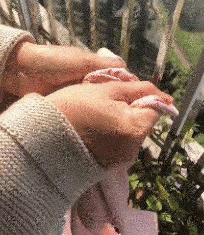 预告|磨了很久终于谈妥的安莉芳保暖衣,大牌品质,价格实惠,轻薄舒适,冬天穿不臃肿,保暖性超好!