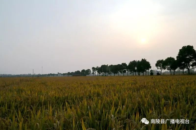 220元能买什么,220元买什么最划算