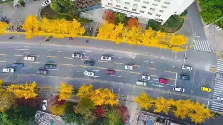 满城尽带黄金甲最美画面,满城尽带黄金甲拍摄地风景