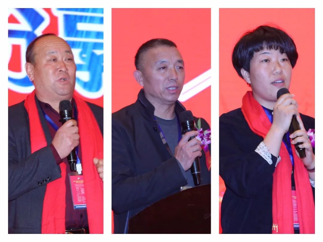 沙隆达小麦药肥,沙隆达花生药肥