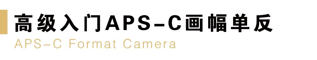 尼康值得入门的单反相机推荐,尼康最新款单反相机d780和d850