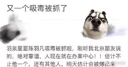 实锤！陈羽凡吸毒被抓！网友：史上最快打脸！胡海泉回应……