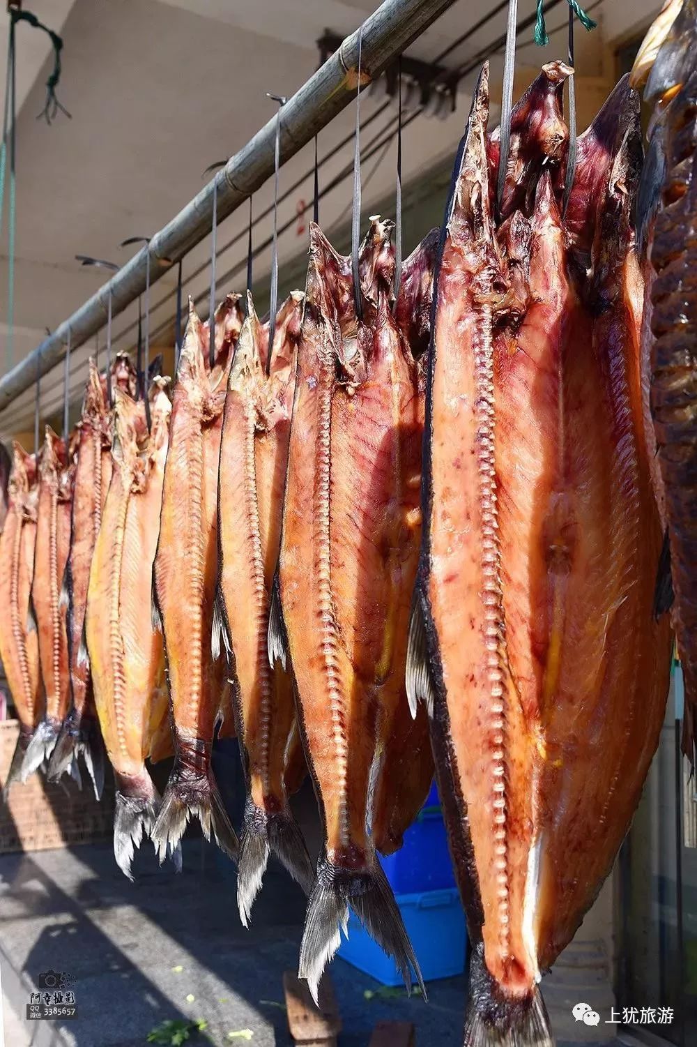 美丽中国江西鄱阳湖,美丽中国江西上饶余干篇