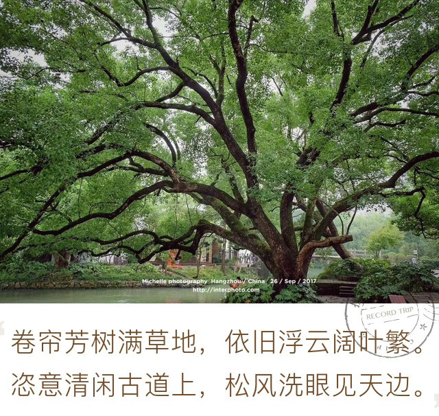 原生态风貌的西溪湿地公园