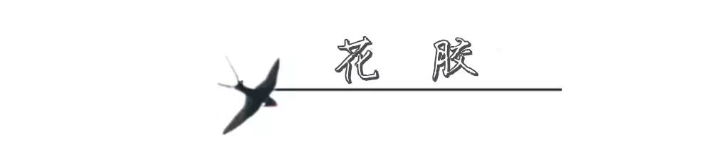 逆天了，燕窝免费送！非一般的燕窝，带你秒飞马来西亚……