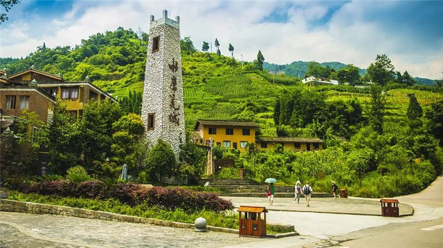 成都周边野花,成都周边花谷景区推荐