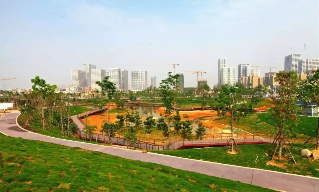 厦门翔安附近免费的湿地公园,翔安这边公园