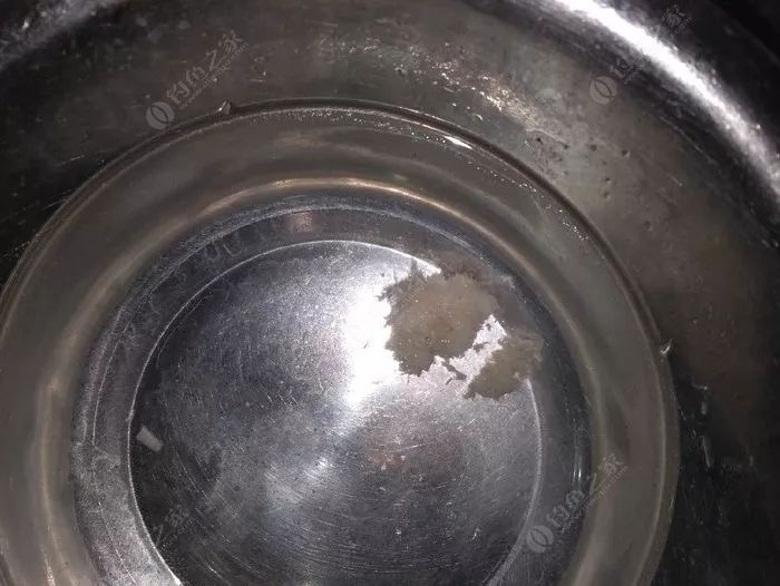 瑶柱钓鱼真实效果,干瑶柱钓鱼怎么样