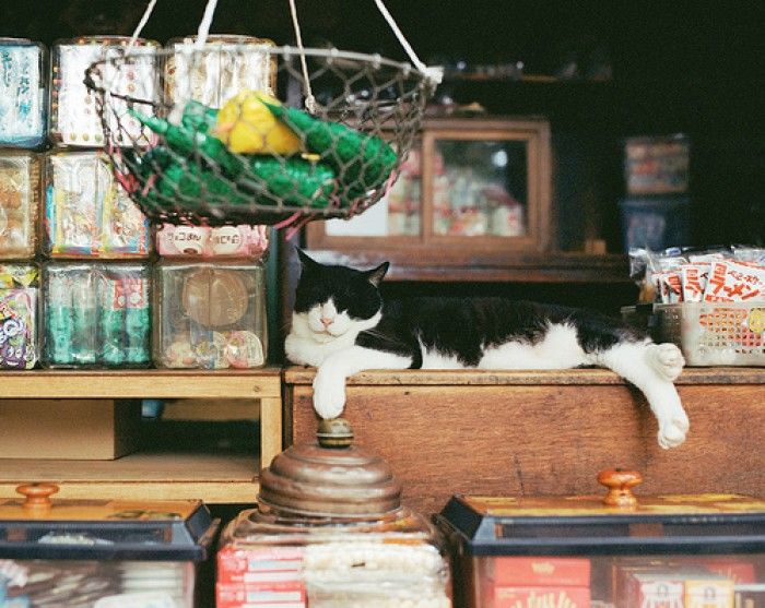 写作遇到瓶颈期,写作遇到卡文怎么处理