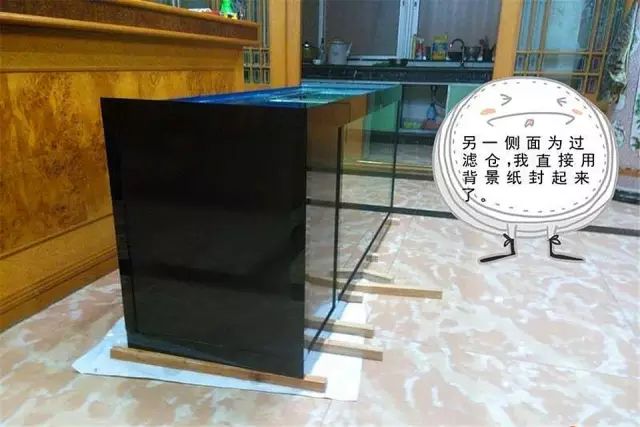 最简单的方法自制鱼缸背景,小型鱼缸制作全过程