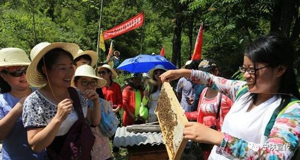 甜入心的宁陕“海棠蜜”……