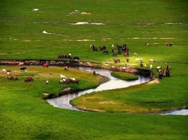 内蒙古地区城市车牌号排名,内蒙古车牌号字母排序方言