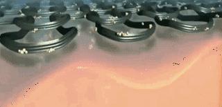 把护肤品穿在腿上是种什么体验？还能「显瘦10斤+超级保暖」