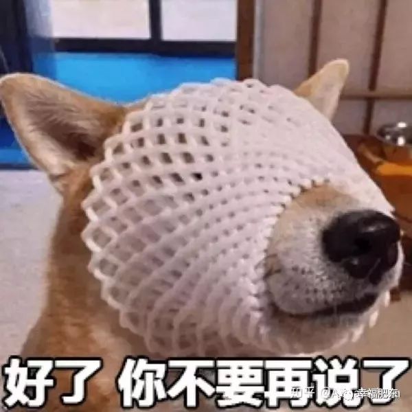 美哭！咱肥东这里竟藏着一处“秘境”，很多人都不知道……