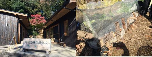 亲子游最新趋势,带娃亲子游低消费