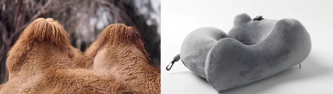 拯救颈椎神器,保护颈椎最好的神器