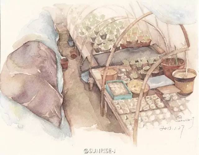 诗一样的多肉插画，像从宫崎骏的动漫世界里走出来一样~