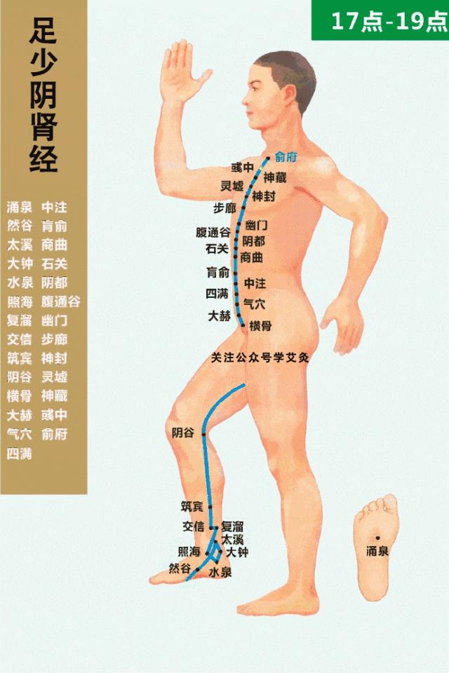 经络最全动图,经络高清穴位大图