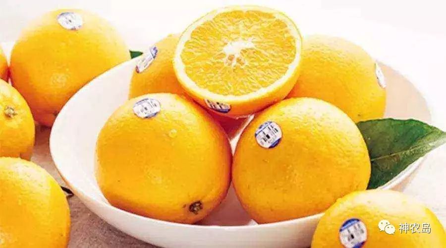 娄向鹏谈农产品实名制,中国农产品特色优势区创建方案