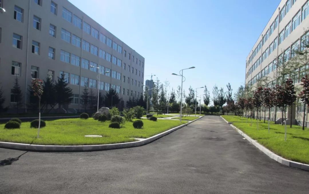 辽宁省排名前10高校有你的母校吗,盘点辽宁的十大高校