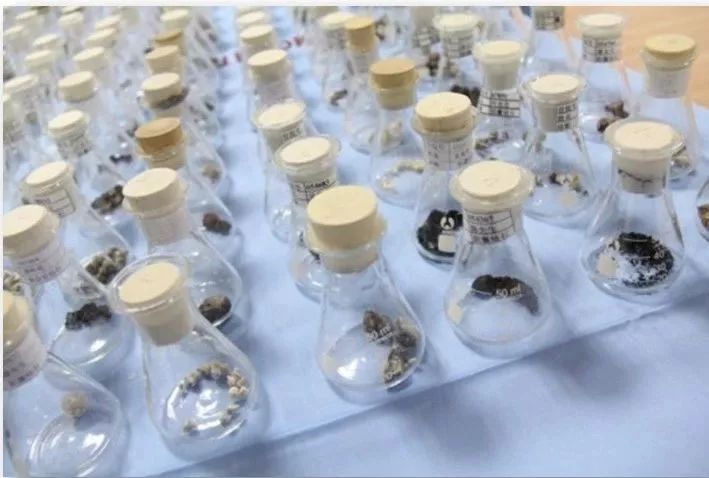 2018“广东好医生”有东莞的这位“结石王”，他建了个博物馆，珍藏了2300+份人体结石！