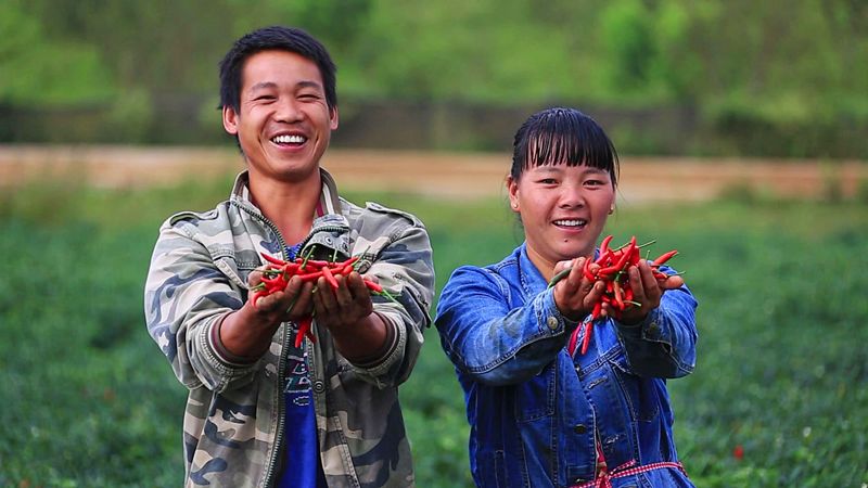 蒙自哪些景区值得去玩的,蒙自最美古镇在哪里