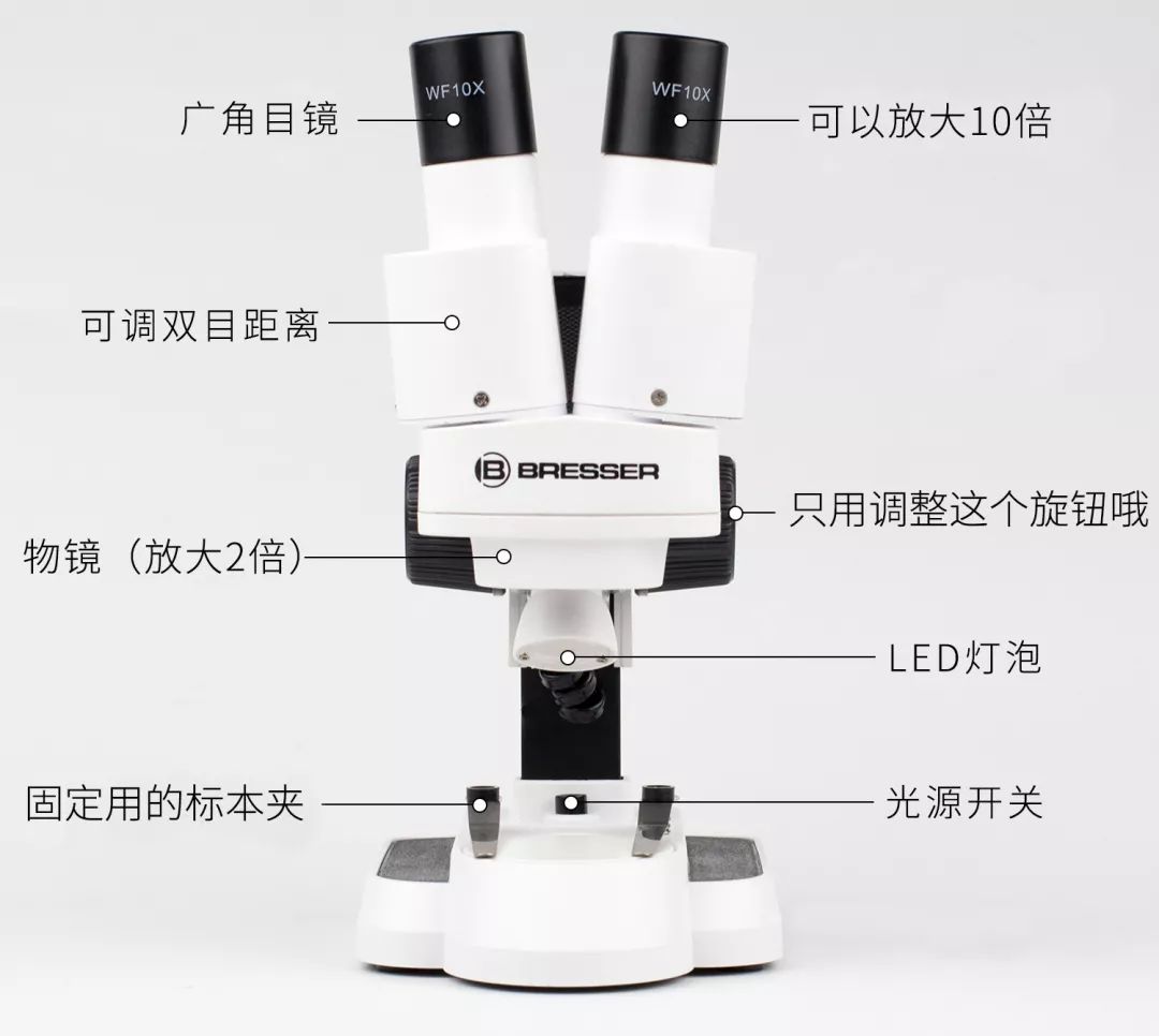 双12给宝宝囤的宝宝用品,双12什么东西适合宝宝囤