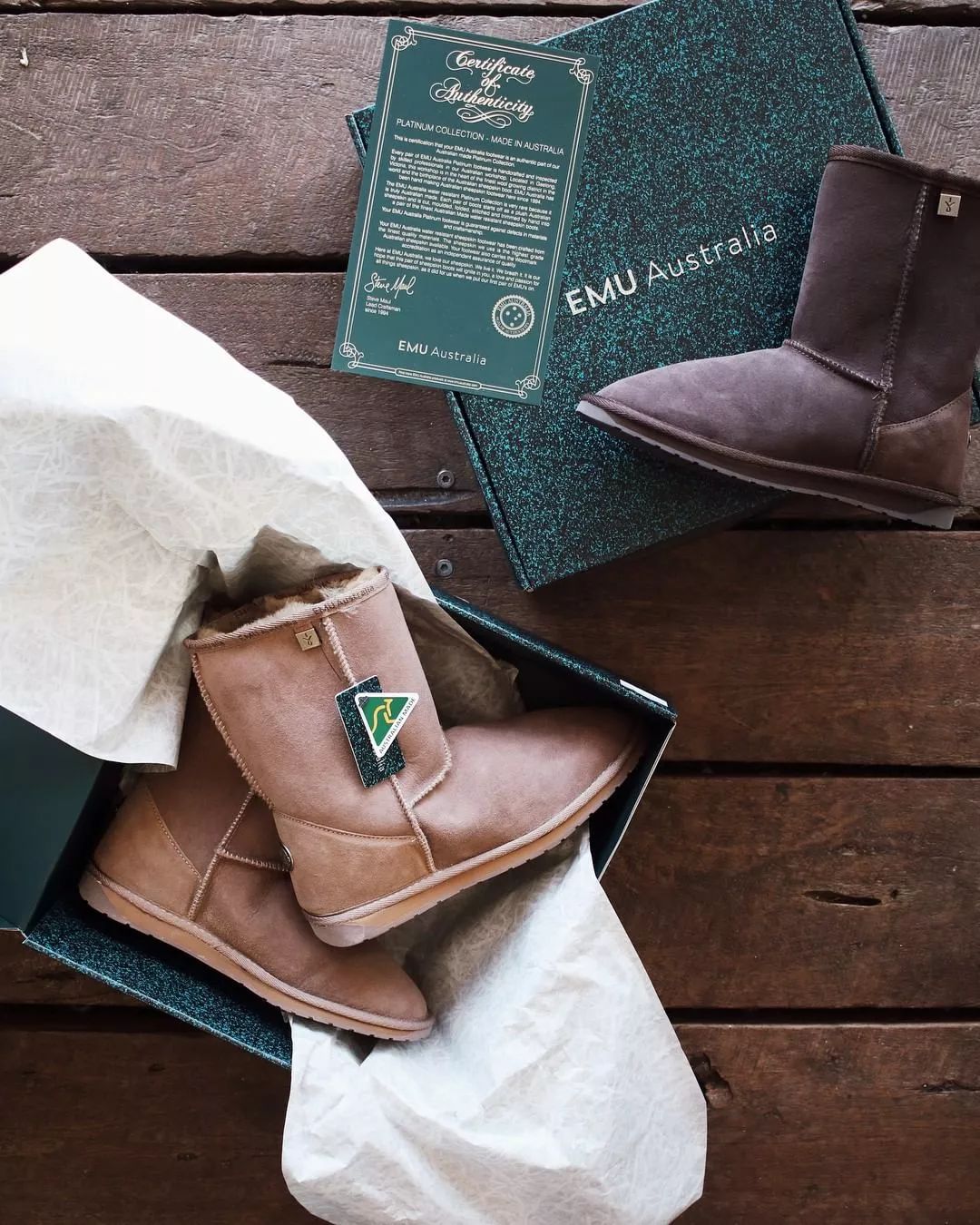 泷泽伸介工作室,泷泽伸介发泥