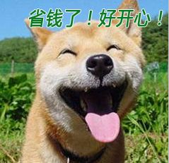 冷冷冷直播回放,冷冷冷下周气温继续降