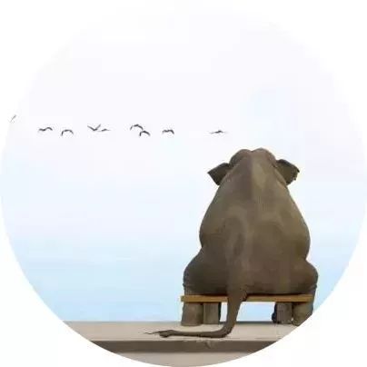 夜读一个人的成熟从沉默开始,夜读沉得住气是成熟的开始