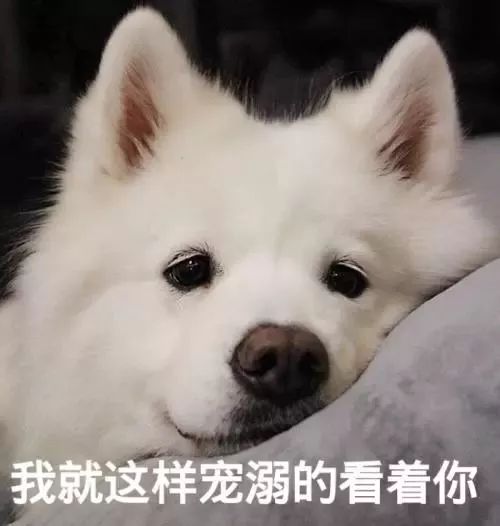 雷品集合吐槽,雷品大吐槽视频怎么拍