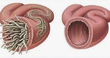 霹雳人妻高情商护夫，稳固地位全靠一身正“气”