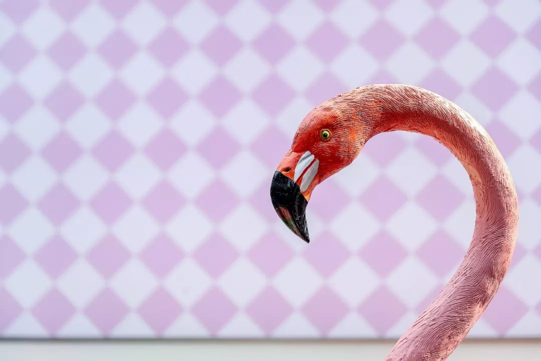 恃美行凶在线抢钱｜CPB圣诞限量系列美得不！合！法！