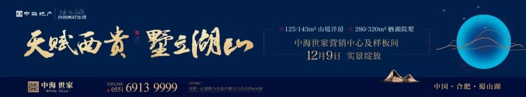 合肥车爆炸着火,合肥面包车爆炸