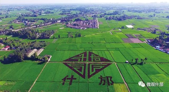 什邡，我深深爱恋的一个美丽城市