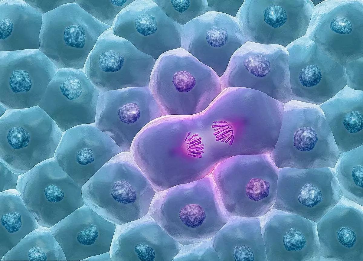 告诉你一个惊天大秘密,告诉你一个惊天大秘密什么梗