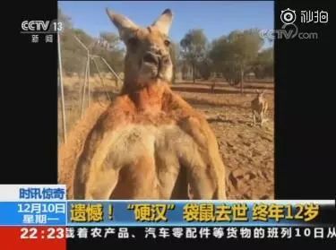 长安通在手机上可以充值吗,长安通互联互通卡能在窗口充值吗