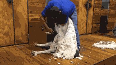 凌晨，大家“疯”了一样充100元话费……