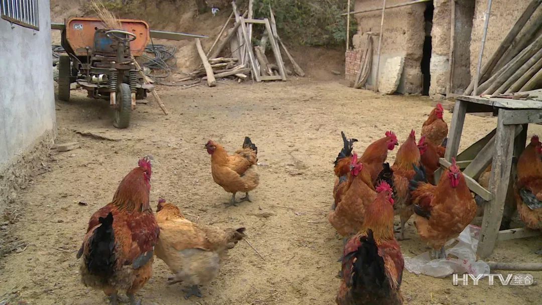 富泉镇胡叶村,汉源县决战脱贫攻坚